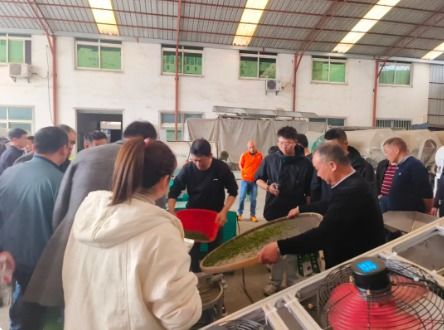 婺源縣舉辦地理標志產品婺源綠茶新標準培訓班